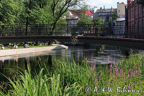 Bydgoszcz, rzeka Młynówka