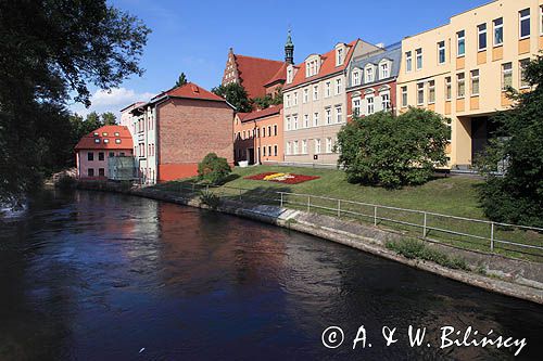 Bydgoszcz, rzeka Młynówka