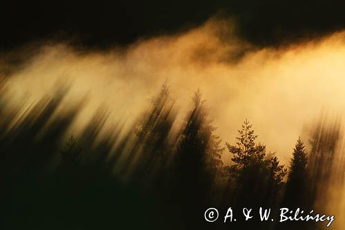 mgły o wschodzie słońca