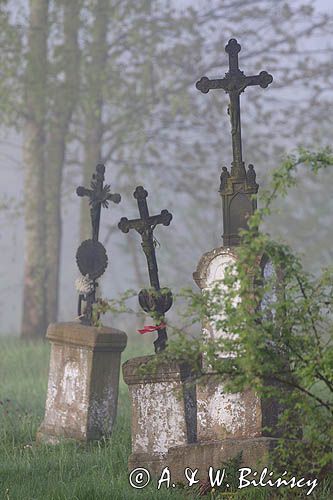 Bystre, stary cmentarz, Bieszczady