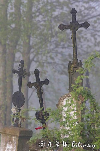 Bystre, krzyż, stary cmentarz, Bieszczady