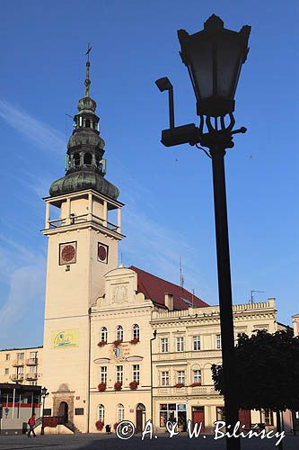 Bytom Odrzański, Rynek, Ratusz