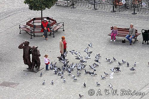 Bytom Odrzański, Rynek, pomnik Czarny Kot, bruk i gołębie