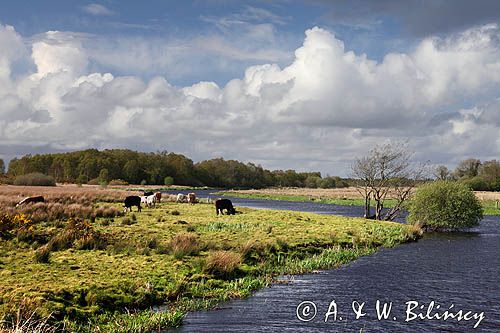 Camlin river, rejon Górnej Shannon, Irlandia