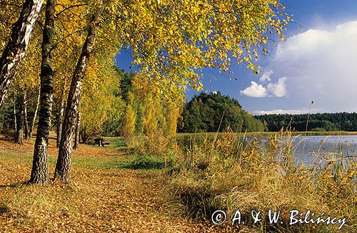Jezioro Charzykowskie, Zaborski Park Krajobrazowy