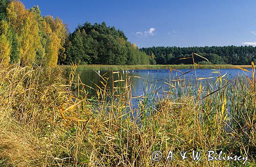 Jezioro Charzykowskie, Zaborski Park Krajobrazowy
