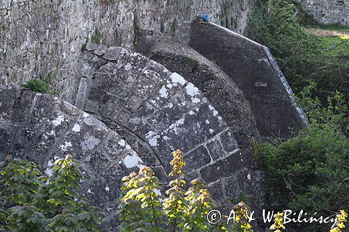 stary kamienny most, Clondra, Camlin river, rejon Górnej Shannon, Irlandia