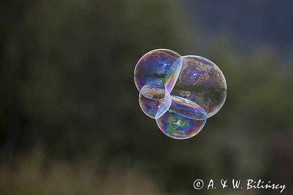 Mydlana bańka, 3 Bieszczadzki Festiwal Sztuk w Czarnej, Bieszczady