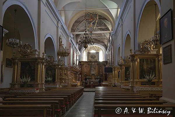 Sanktuarium w Czerwińsku nad Wisłą, nawa główna