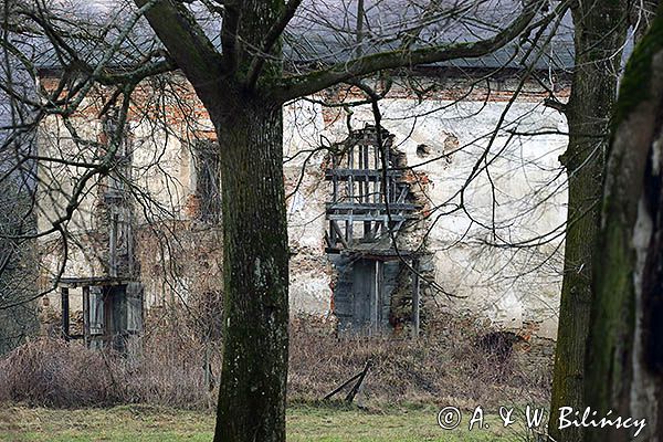 Dąbrówka Starzeńska, zespół parkowo pałacowy, ruiny zamku Kmitów