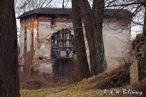 Dąbrówka Starzeńska, zespół parkowo pałacowy, ruiny zamku Kmitów