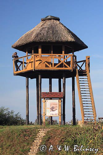 wyspa Rusne, obserwator ptaków, wieża widokowa, rzeka Niemen, Park Regionalny Delty Niemna, Litwa
