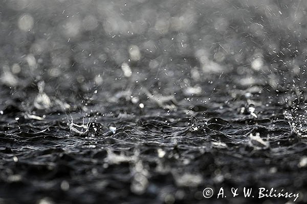Deszcz na rzece