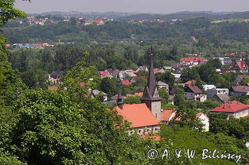 Dobczyce miasteczko