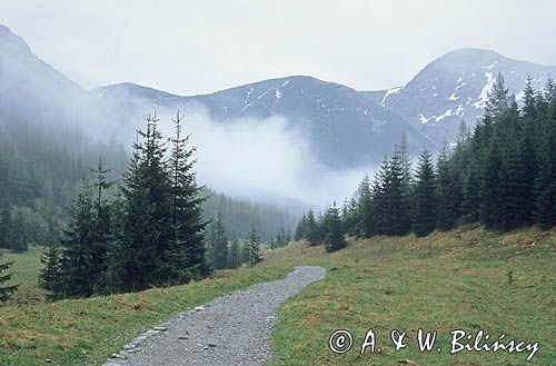 szlak w Dolinie Jaworzynki, Tatry