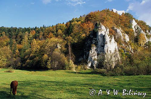 Ojcowski Park Narodowy skały wapienne Dolina Prądnika