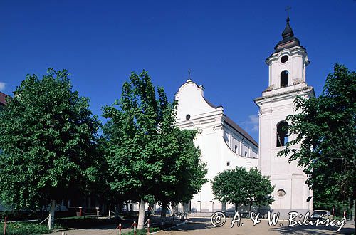 Drohiczyn kościół Franciszkanów