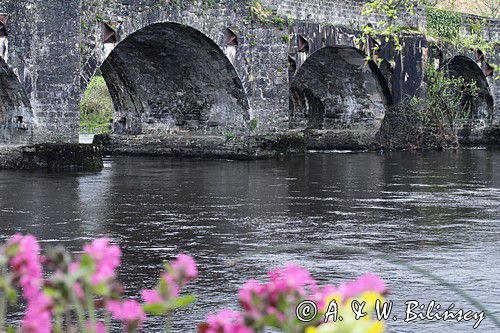 kamienny most nad rzeką Shannon, Drumsna, rejon Górnej Shannon, Irlandia
