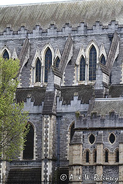 Christ Church, Katedra Kościoła Chrystusowego, Dublin, Irlandia