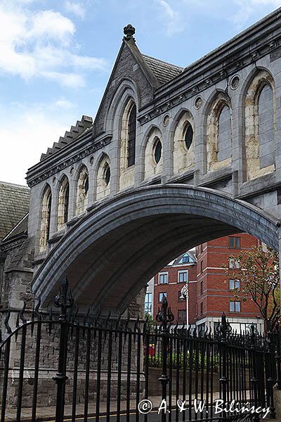 Christ Church, Katedra Kościoła Chrystusowego, Dublin, Irlandia