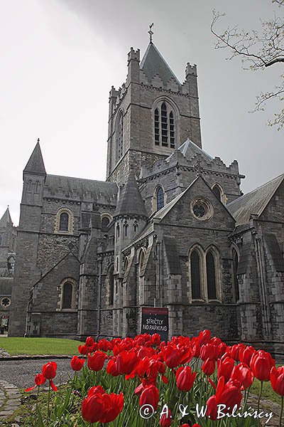 Christ Church, Katedra Kościoła Chrystusowego, Dublin, Irlandia