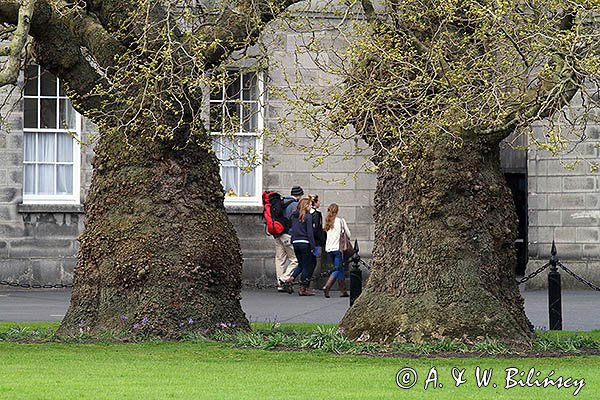 Trinity College uniwersytet, Dublin, Irlandia