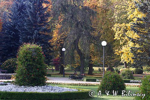 Duszniki Zdrój, Park Zdrojowy