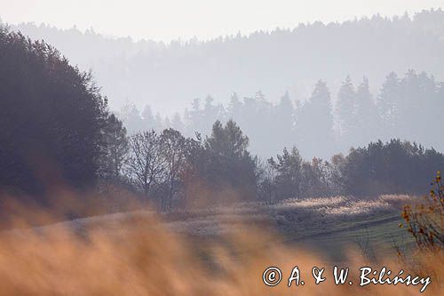 Widok z Łysej Góry koło Dydni, Pogórze Dynowskie