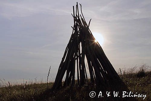 ostrewki na łące, Pogórze Dynowskie