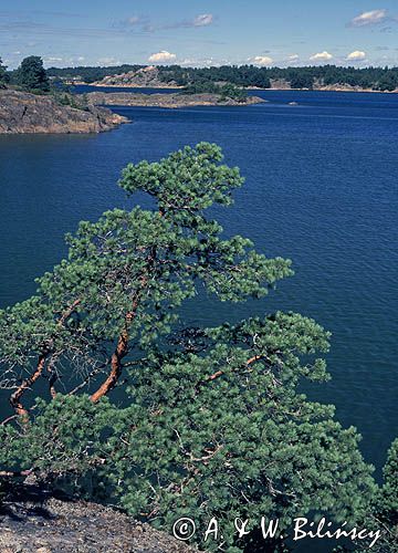 Finlandia, Archipelag Turku, wyspa Sommaron