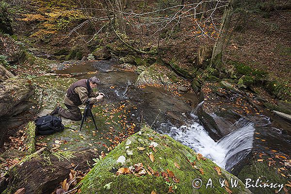 fotograf przyrody nad potokiem, Bieszczady