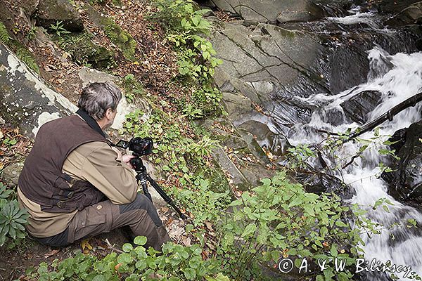 fotograf przyrody nad potokiem, Bieszczady