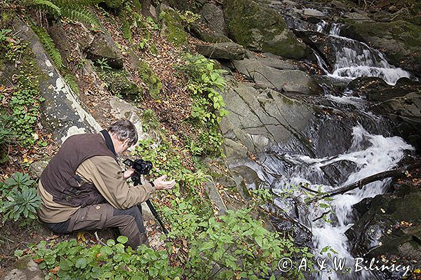 fotograf przyrody nad potokiem, Bieszczady