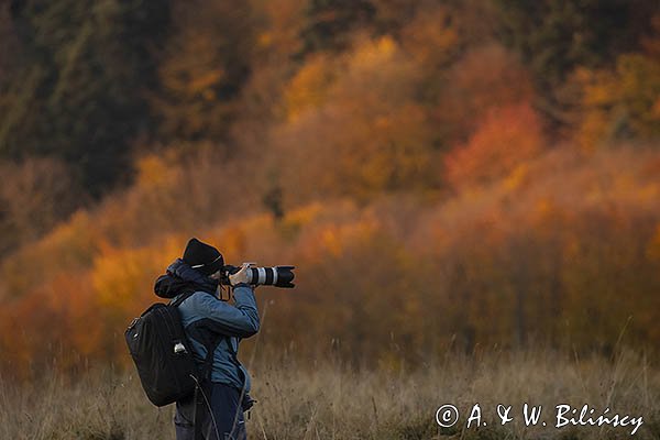 Fotograf, sylwetka, Bieszczady