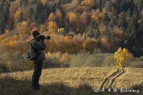 Fotograf, sylwetka, Bieszczady