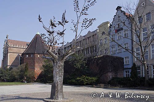 Gdańsk, pomnik Drzewo Millenium Gdańska na Targu Węglowym