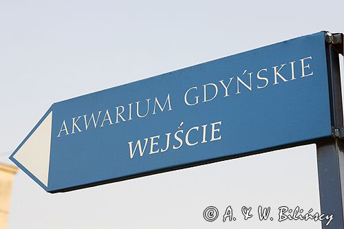 Gdynia drogowskaz do Muzeum Morskiego - Akwarium