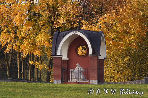 Sanktuarium Maryjne w Gietrzwałdzie, kalwaria