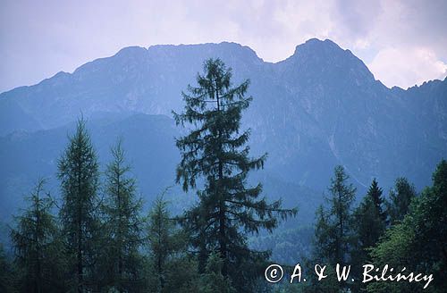 Giewont, widok z Gubałówki Tatry