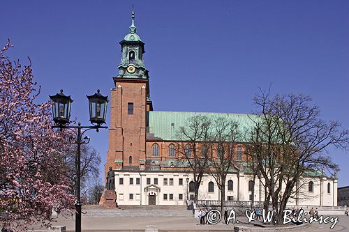 Gniezno Katedra