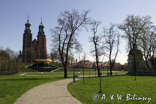 Gniezno Katedra