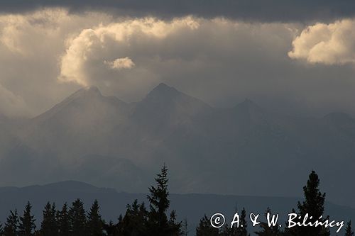 Gorce widok na Tatry