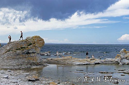 Wybrzeże wyspy Faro na Gotland, Szwecja
