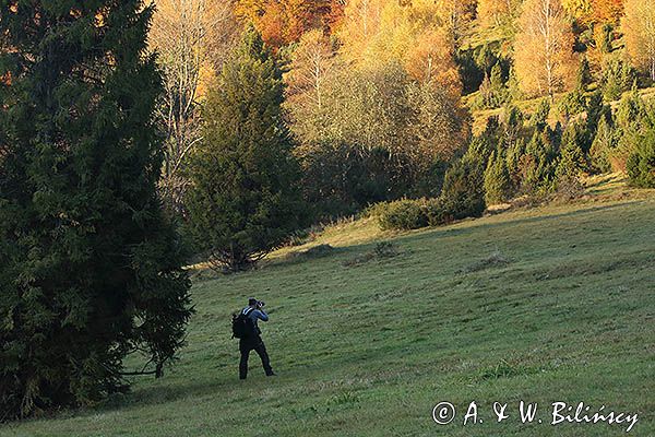 Fotograf przyrody, Bieszczady, Caryńskie