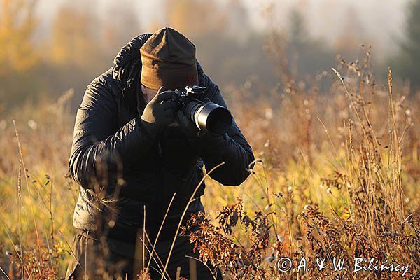 Fotograf przyrody, Bieszczady,