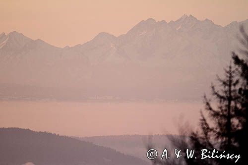 Widok z Hali Krupowej na Tatry