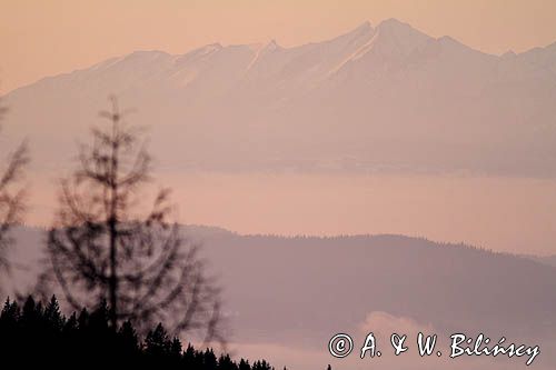 Widok z Hali Krupowej na Tatry