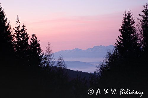 Widok z Hali Krupowej na Tatry