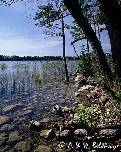 jezioro Hańcza, Suwalszczyzna