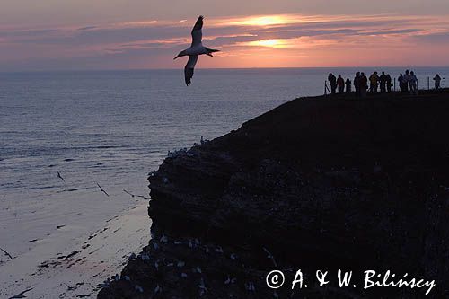 klify wyspy Helgoland, Niemcy, Morze Północne